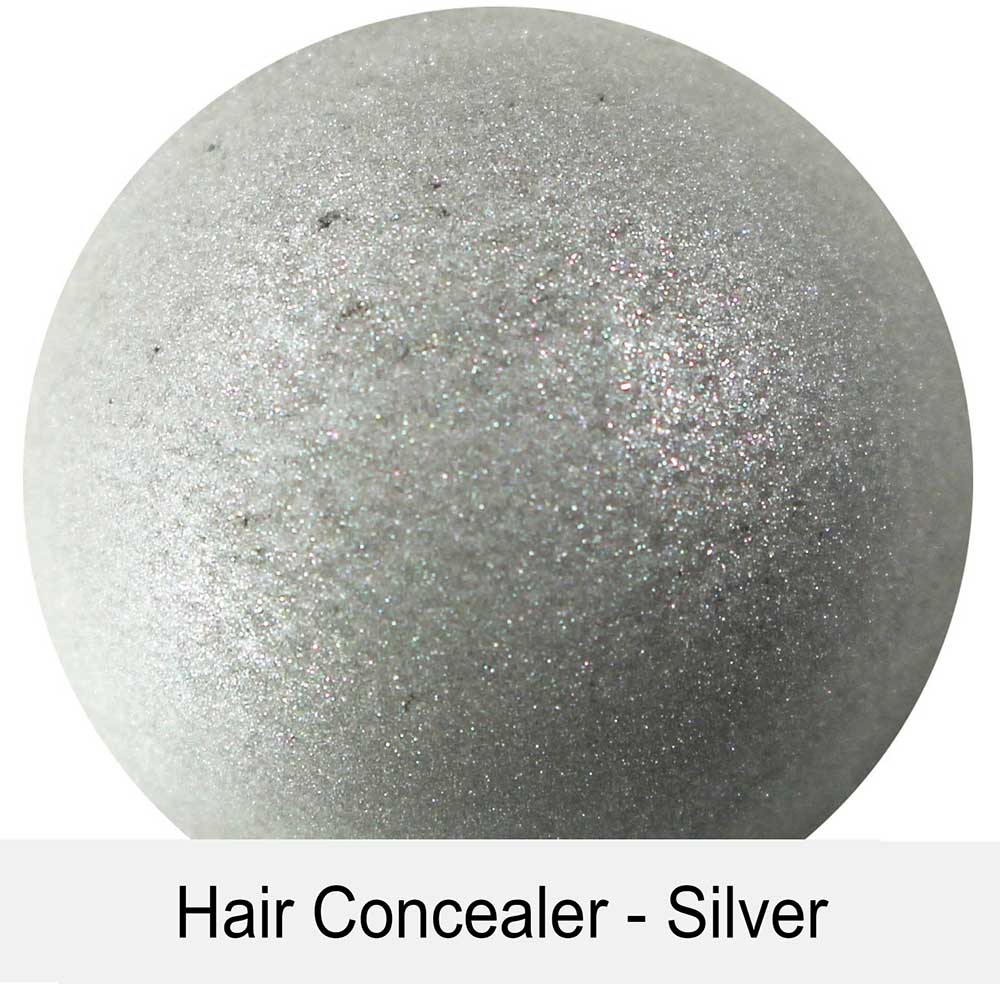 Grey Off Hair Concealer Silver 3g
