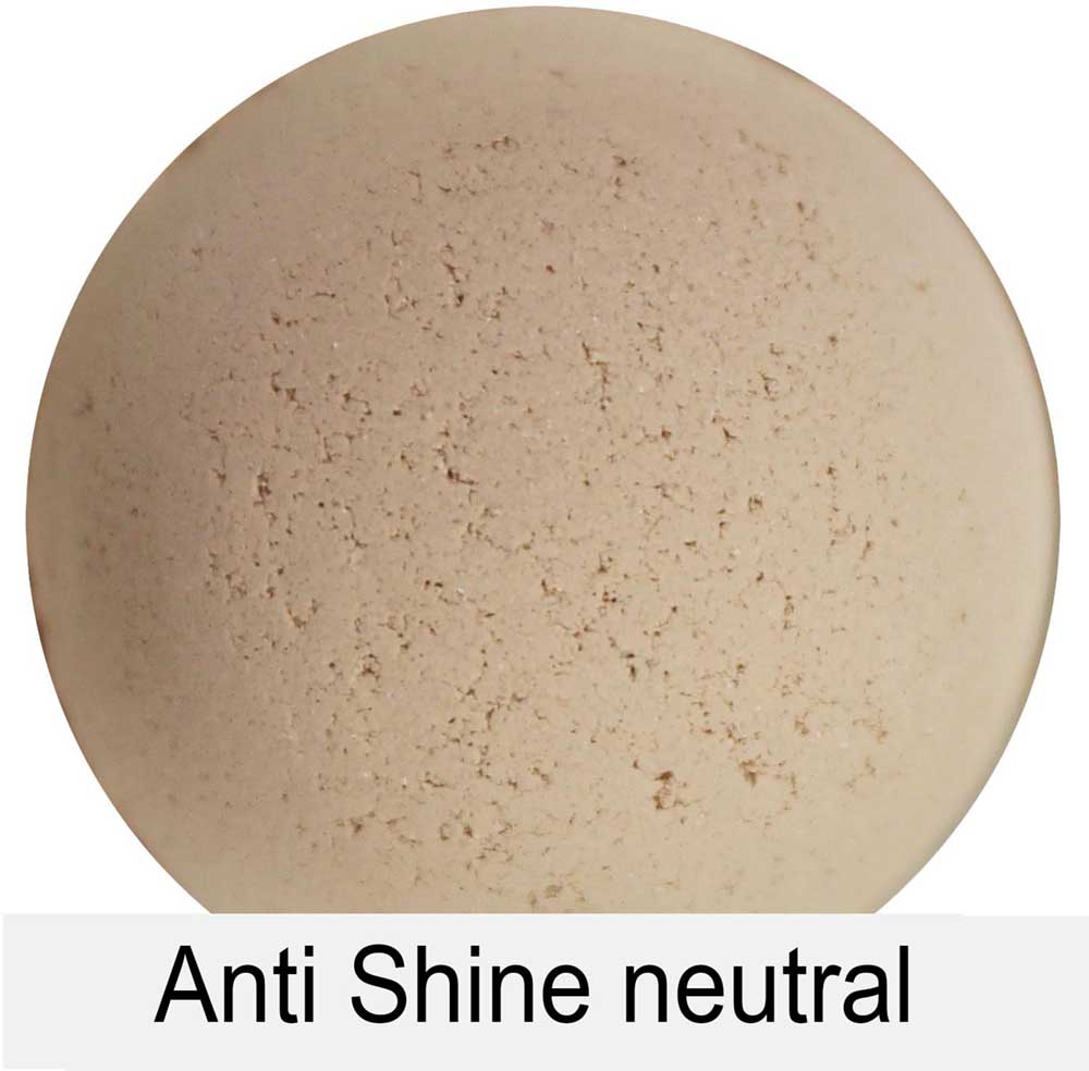 Anti Shine - NEUTRAL 2g