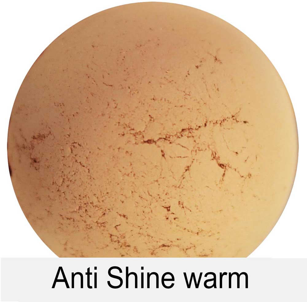 Anti Shine - WARM 2g